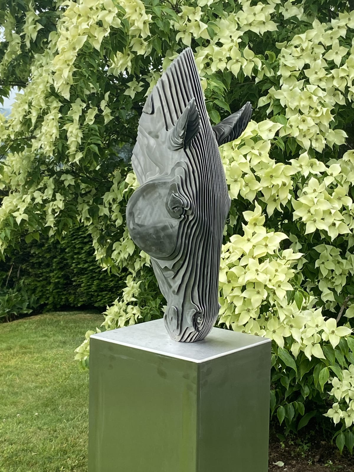 Caballo Bebedor IV, 2023 - Tom Hiscocks