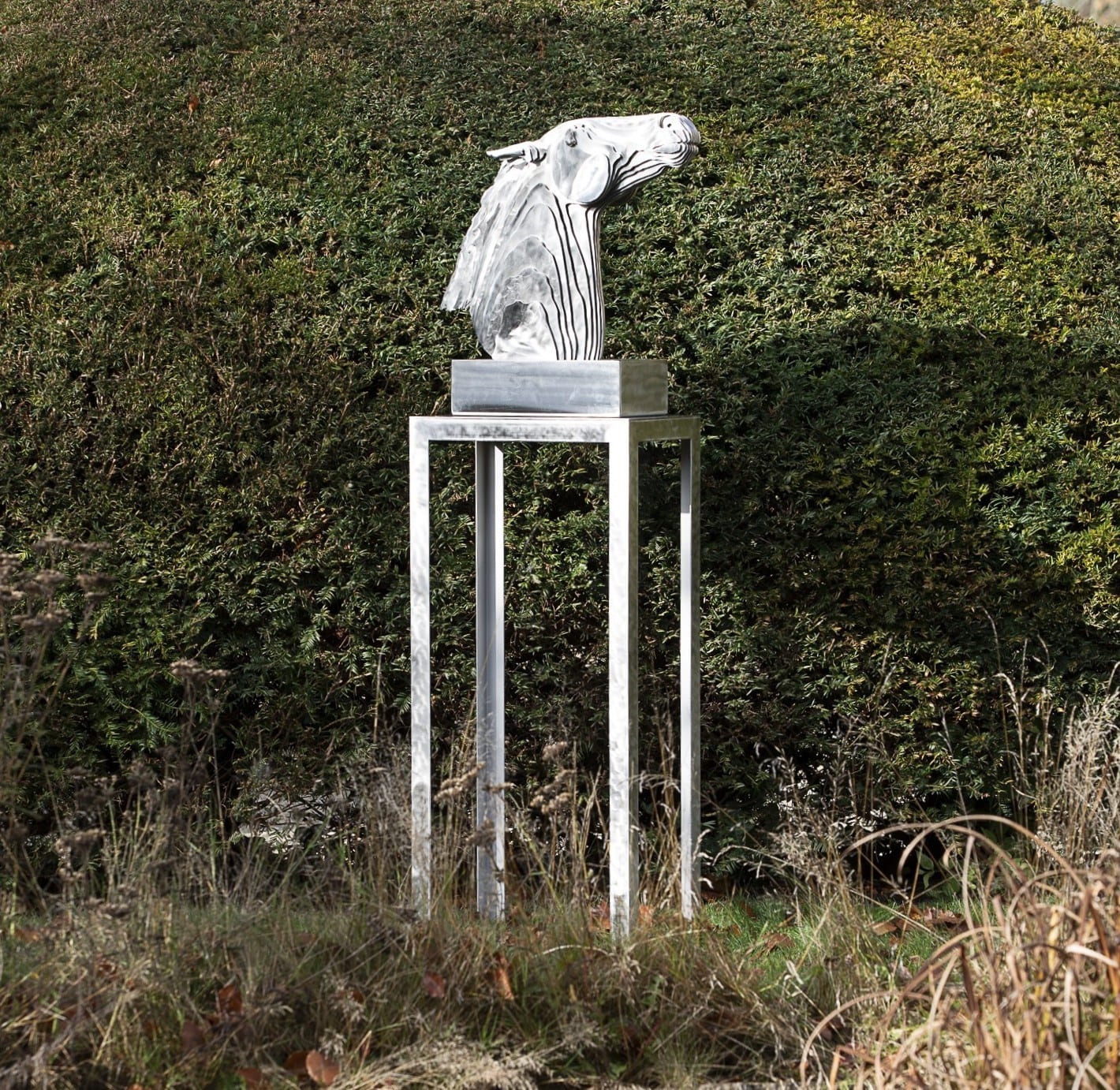 REARING HORSE II, 2020 - Tom Hiscocks