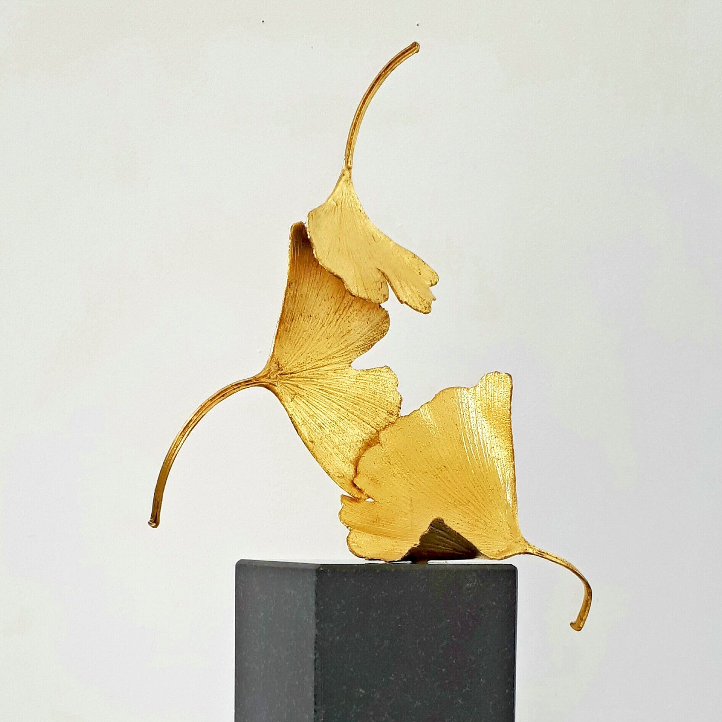 Golden Gingko - Kuno Vollet