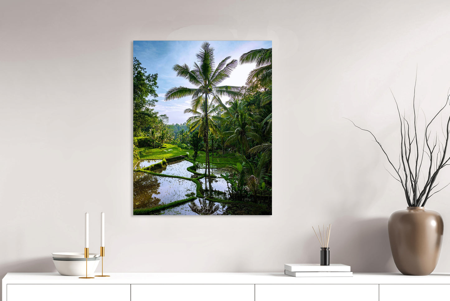 Rice Fields- Moritz Hormel