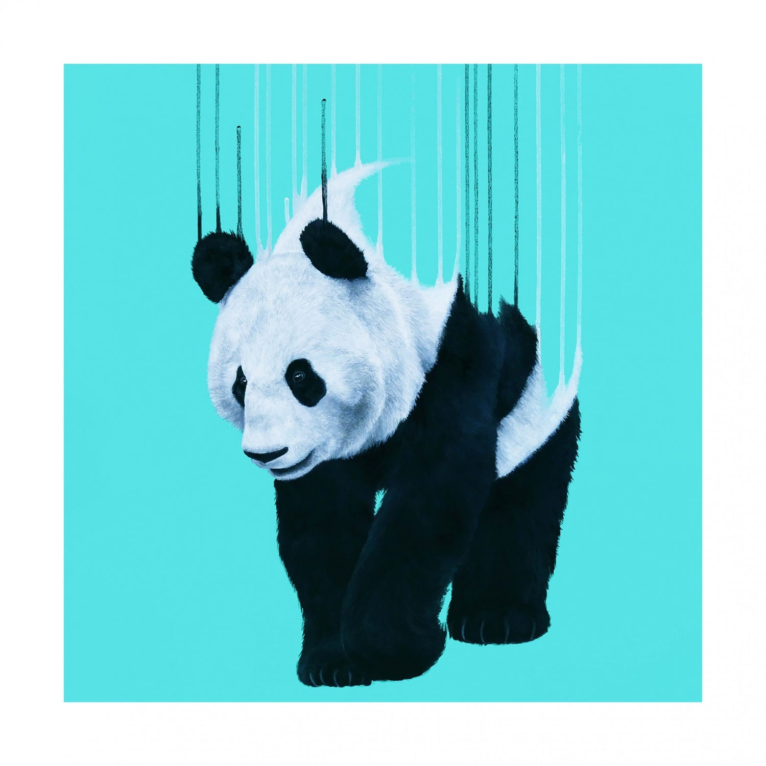 Louise McNaught