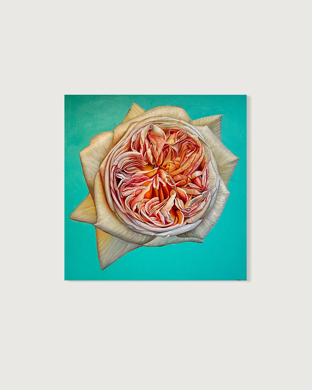 The Heart has it's Reasons - Katharina Husslein