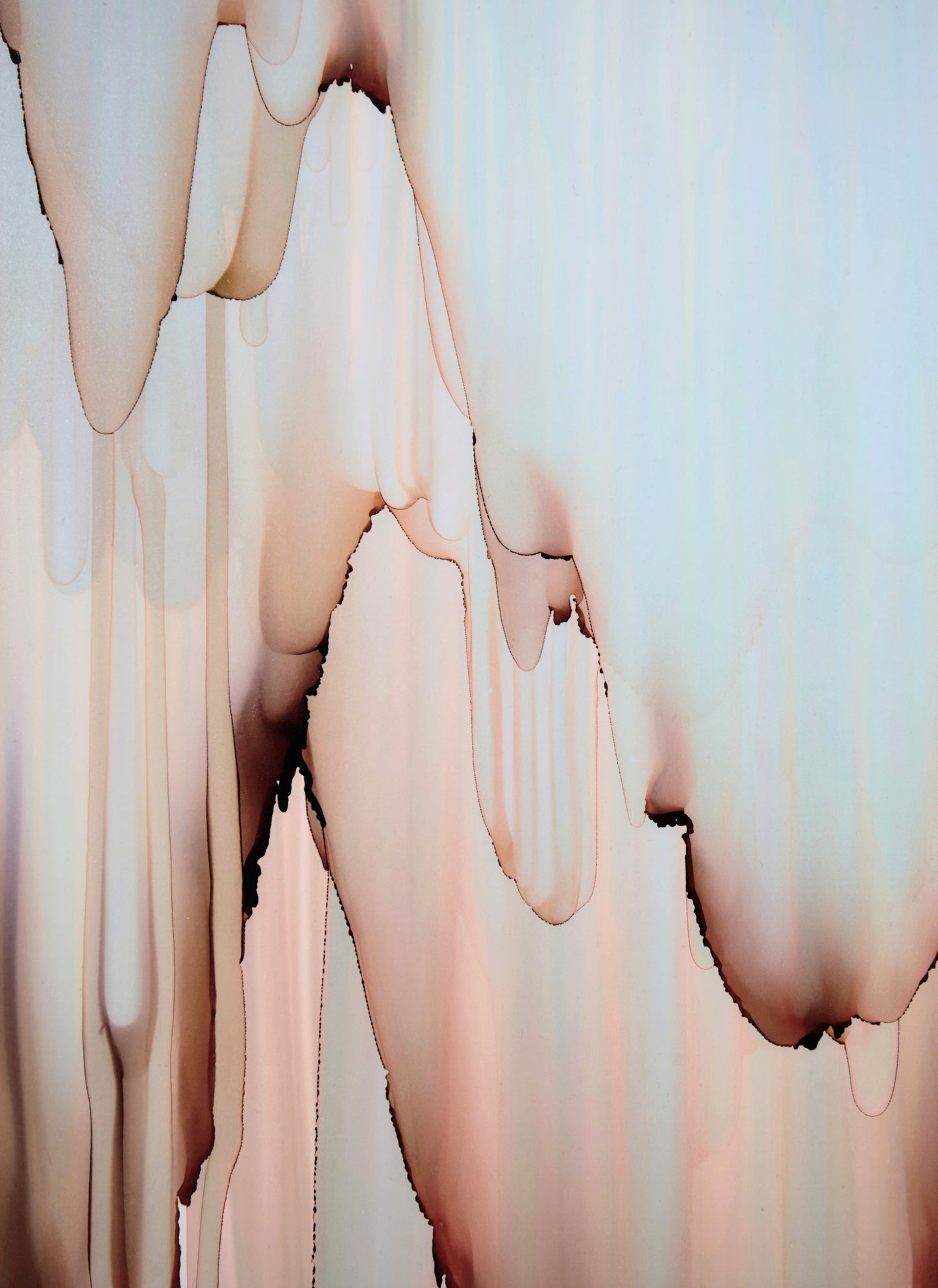 Desert Rain - Fran Duncan