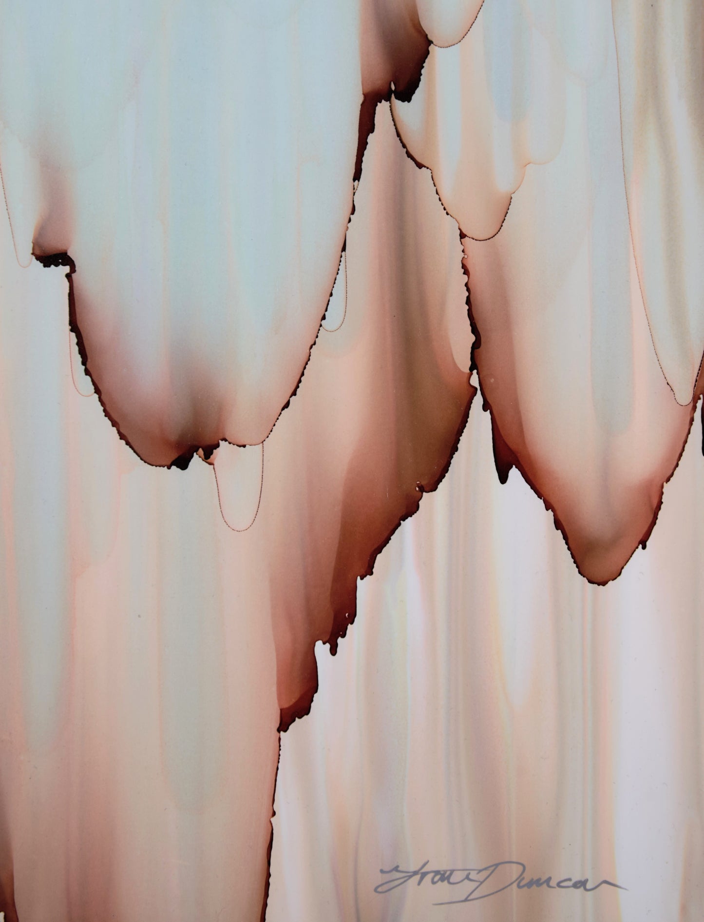 Desert Rain - Fran Duncan