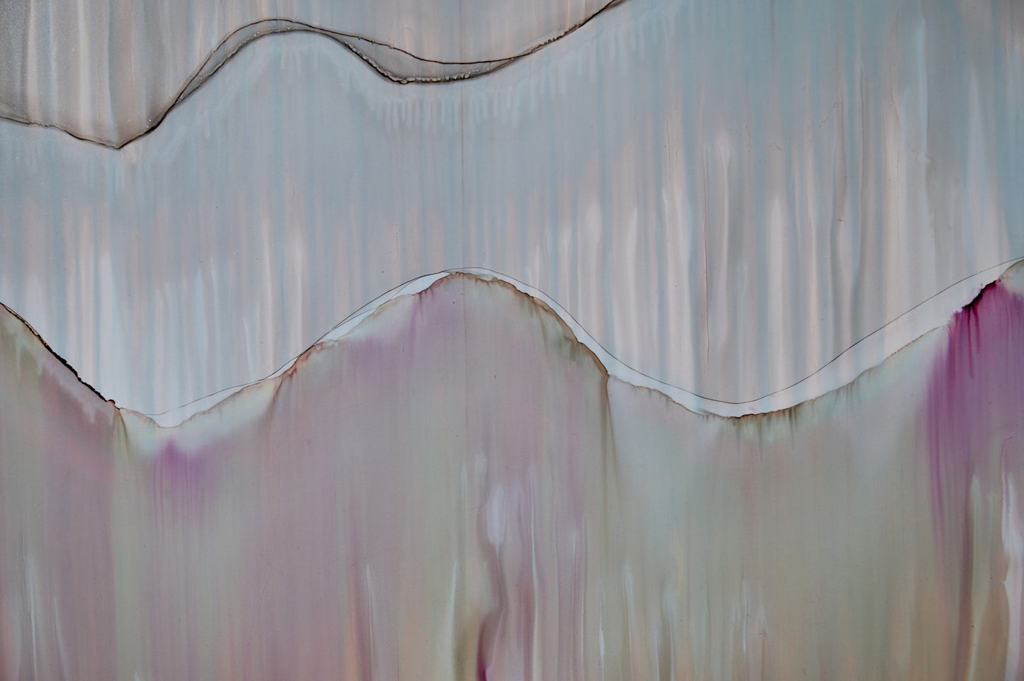 The voice of the mountains  - Fran Duncan