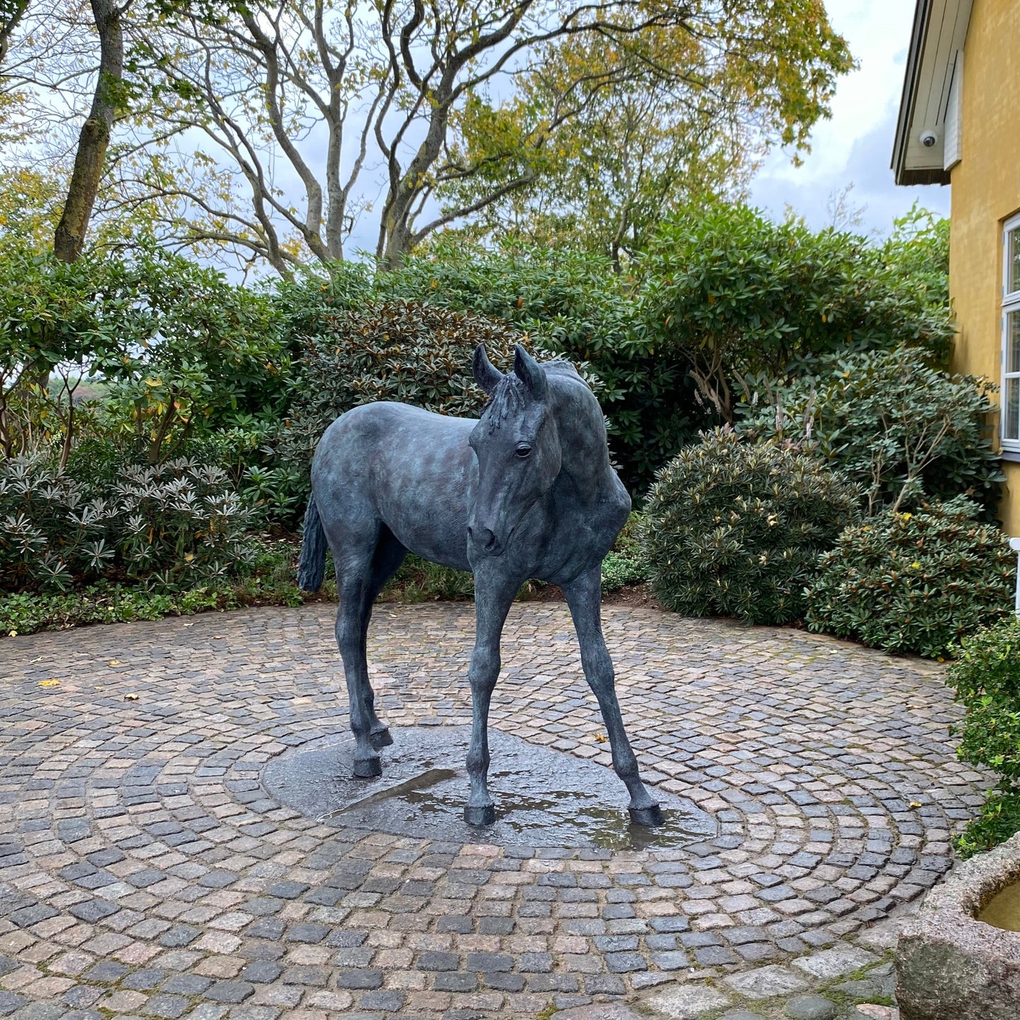 The Golden Horse Gloria  - Helle Rask Crawford