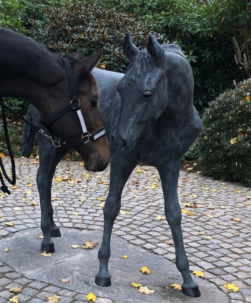The Golden Horse Gloria  - Helle Rask Crawford