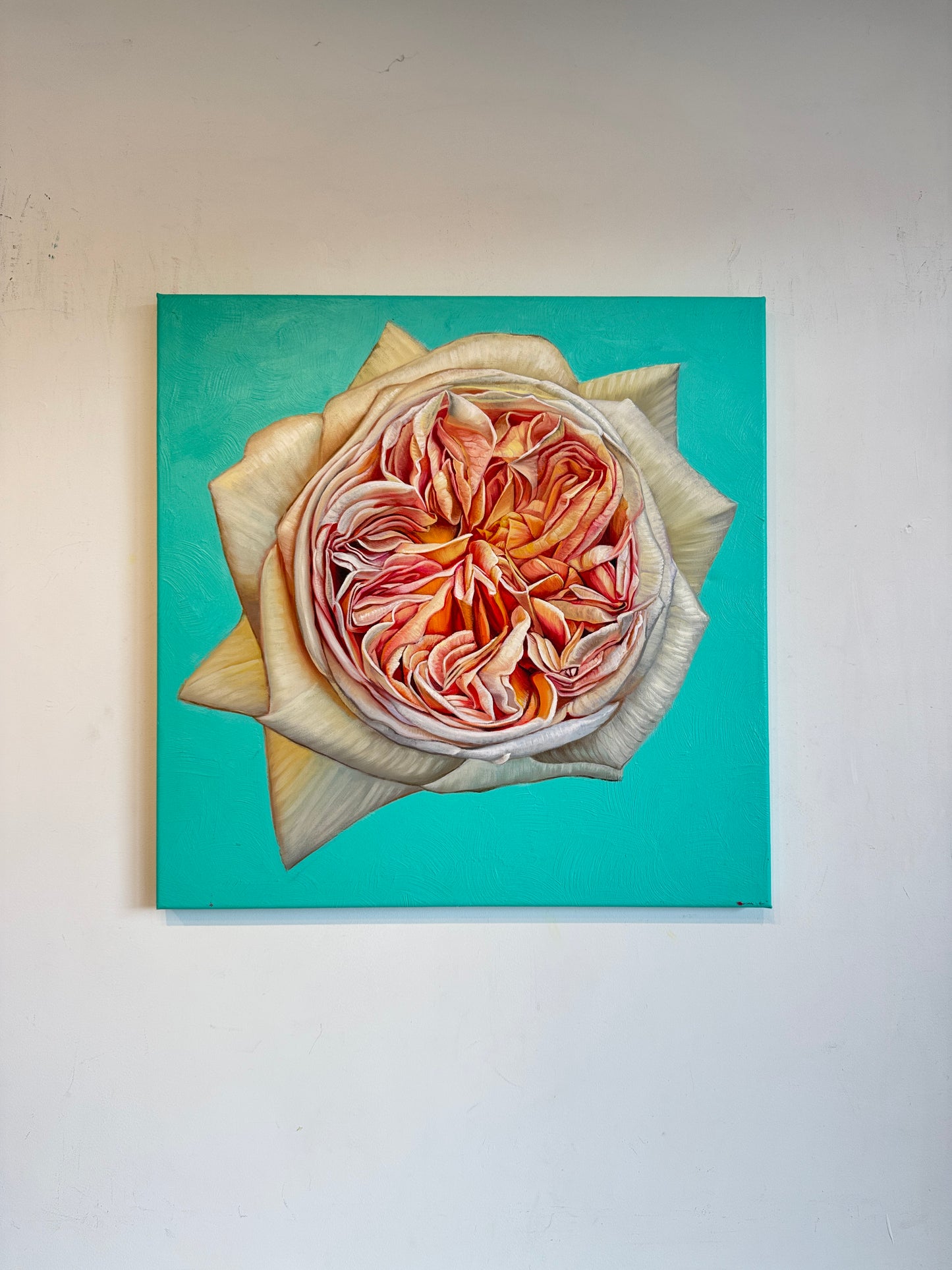 The Heart has it's Reasons - Katharina Husslein