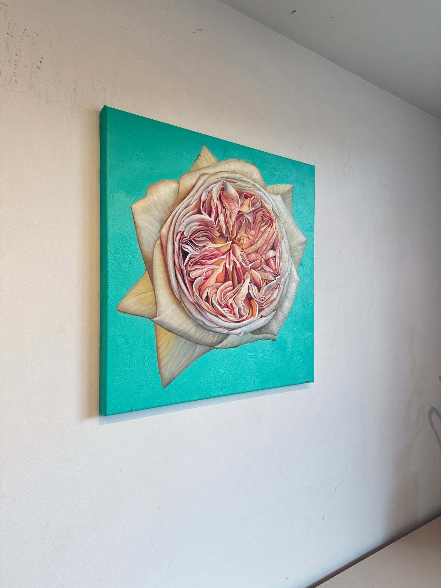 The Heart has it's Reasons - Katharina Husslein