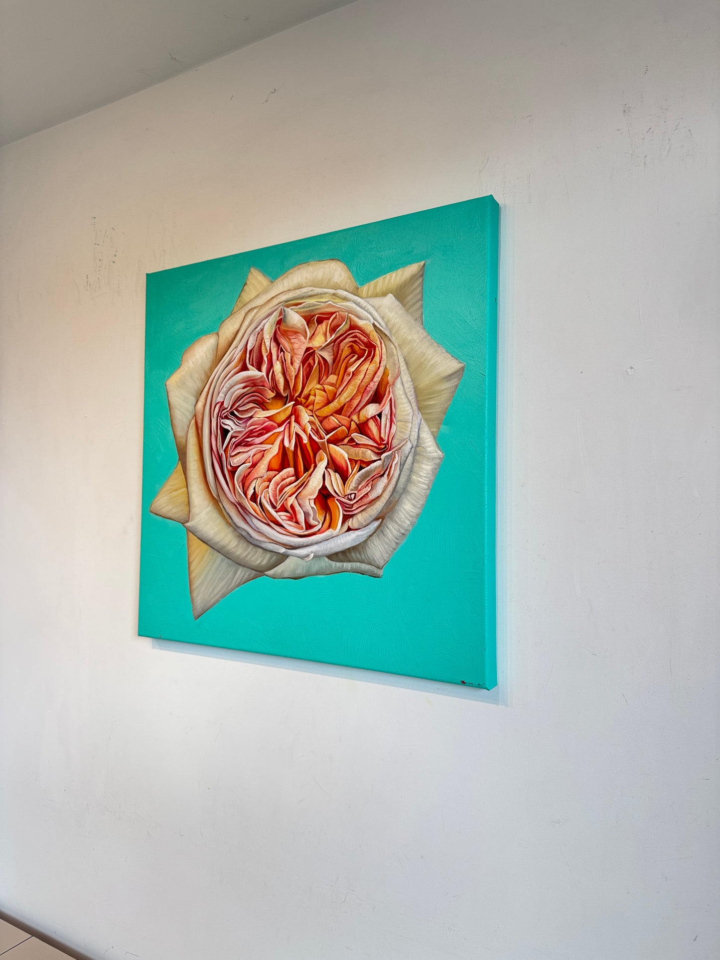 The Heart has it's Reasons - Katharina Husslein