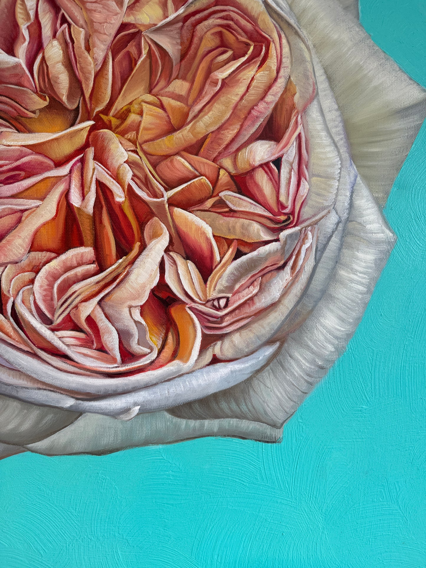 The Heart has it's Reasons - Katharina Husslein