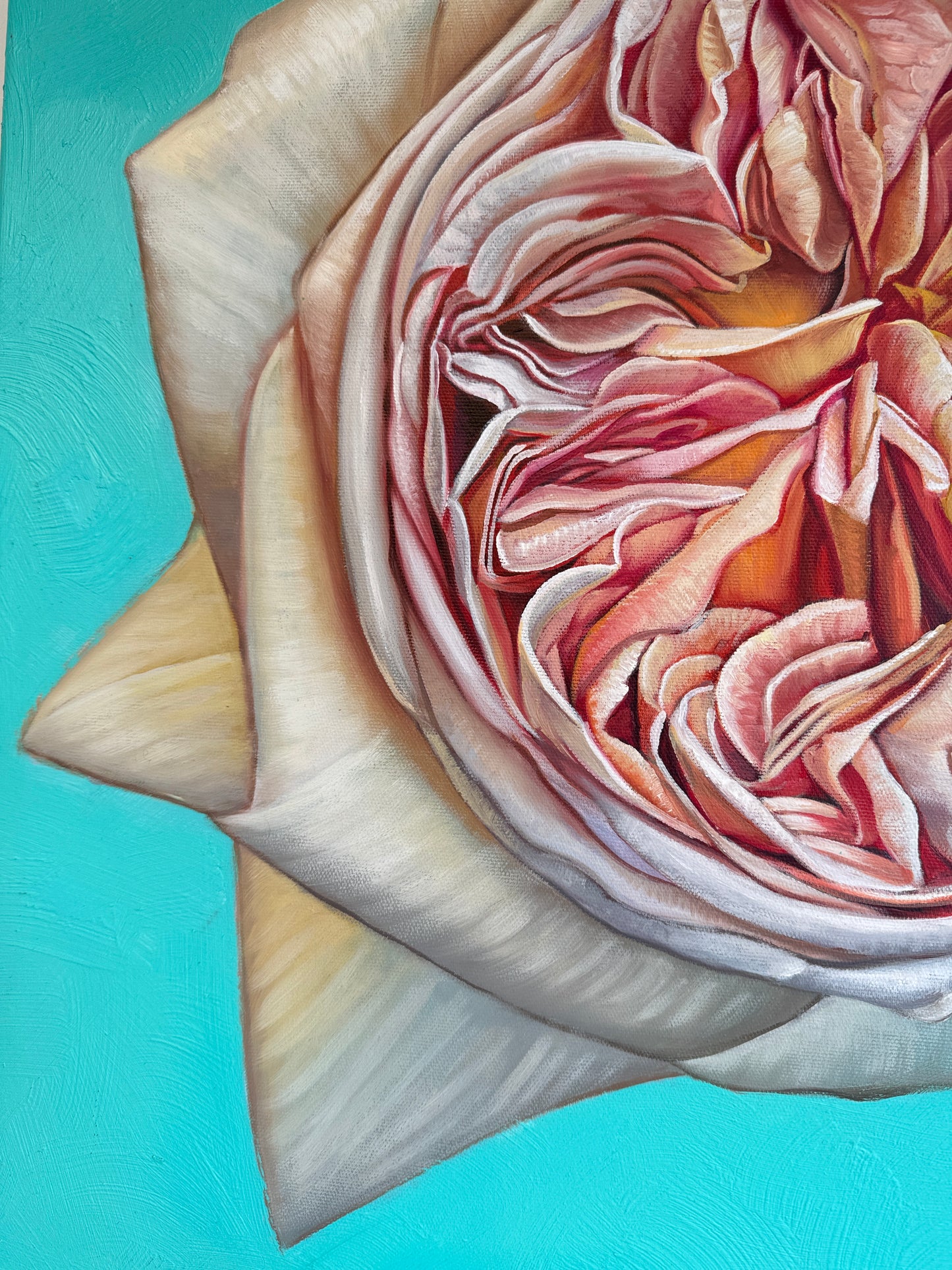 The Heart has it's Reasons - Katharina Husslein