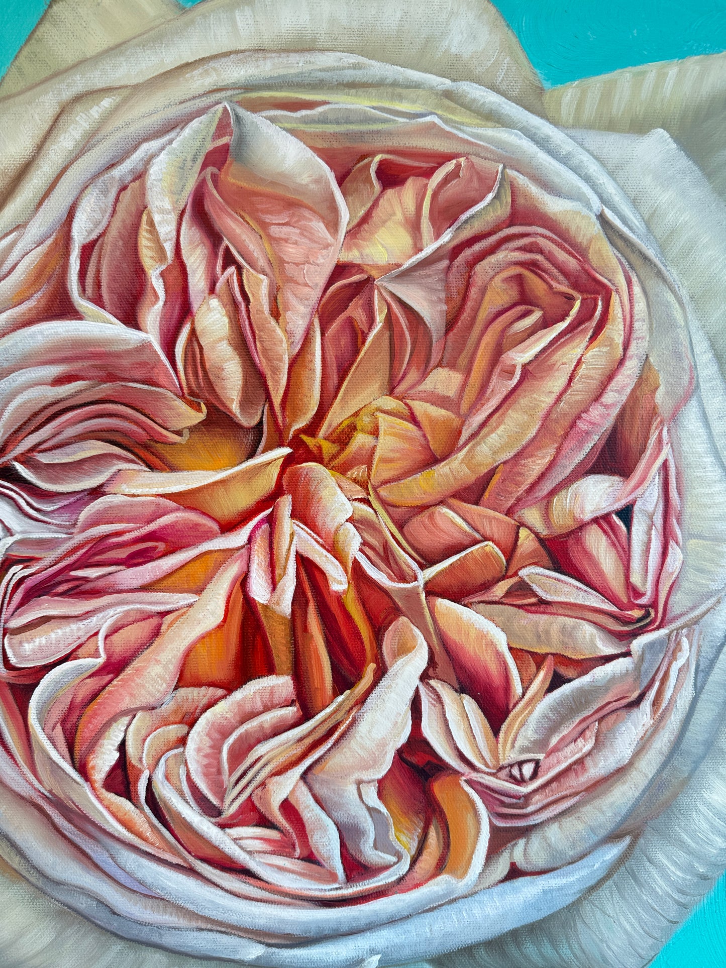 The Heart has it's Reasons - Katharina Husslein