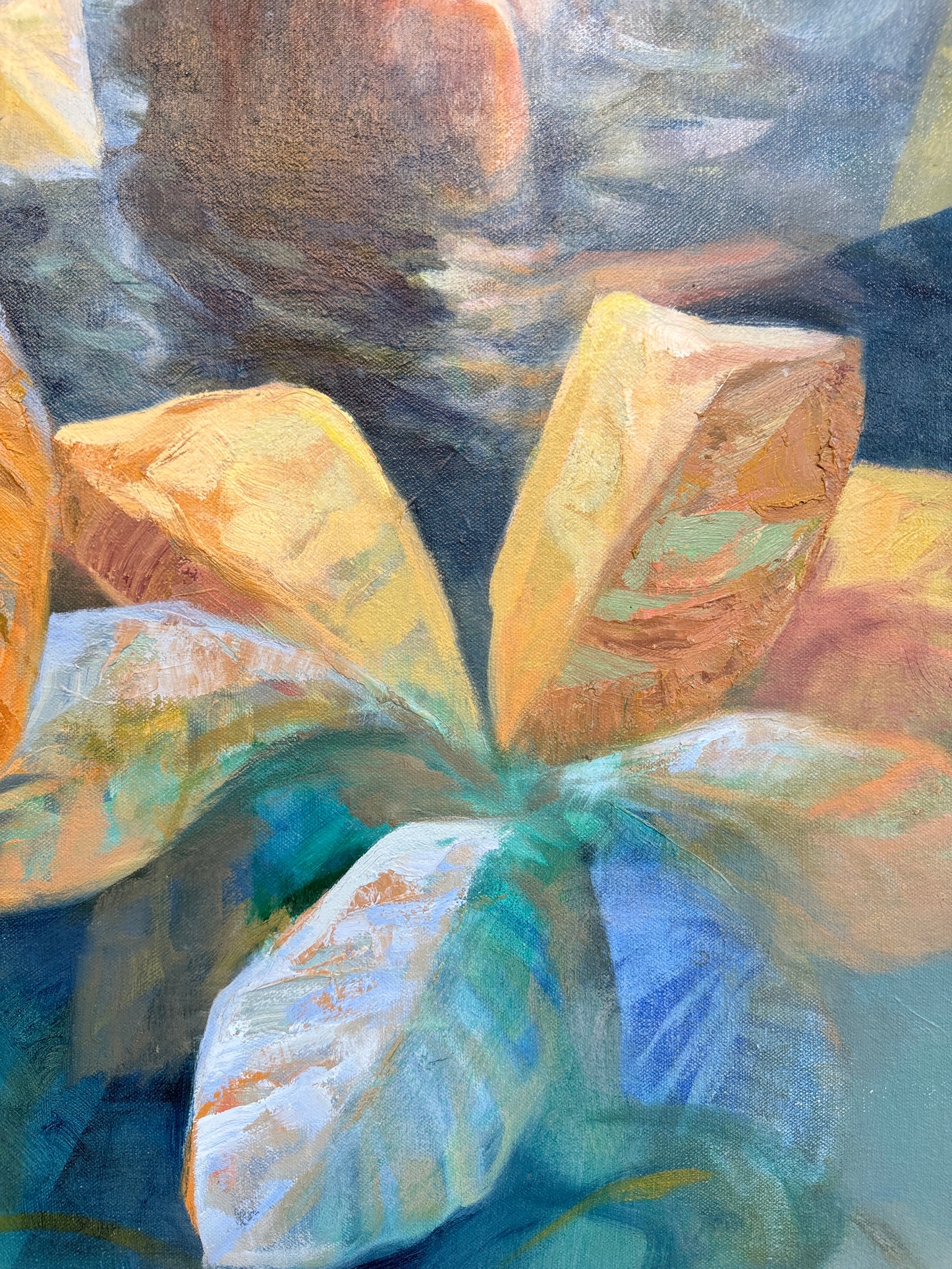 The Water Sings Because it Flows - Anna-Carien Goosen