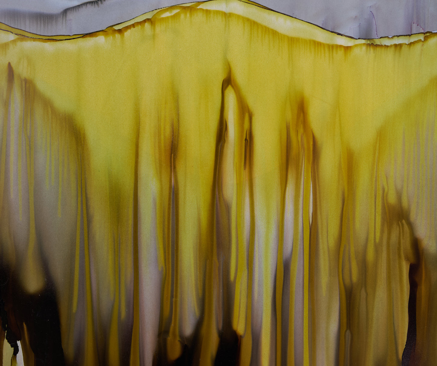 The Eternal Nourishment of The Sun - Fran Duncan