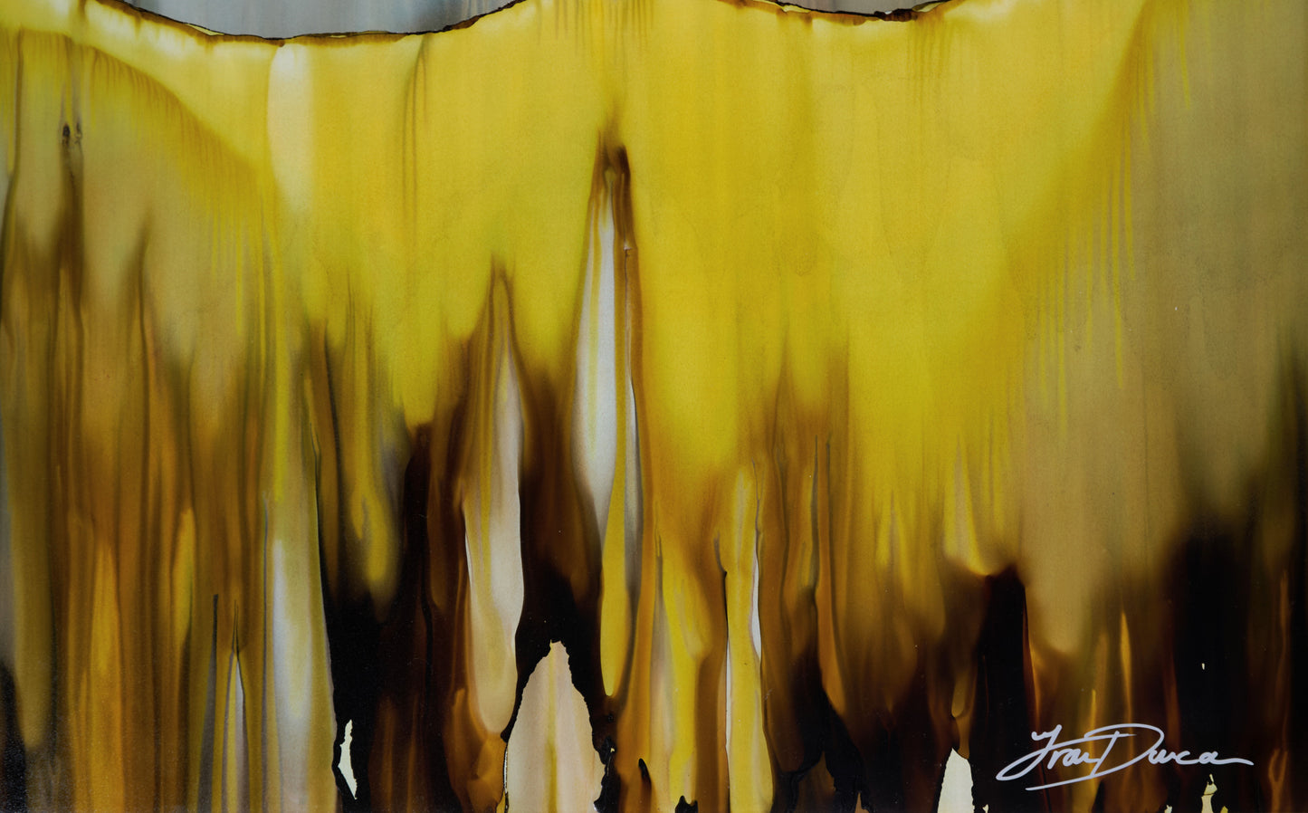 The Eternal Nourishment of The Sun - Fran Duncan