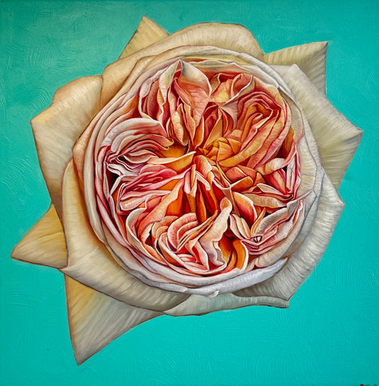 The Heart has it's Reasons - Katharina Husslein