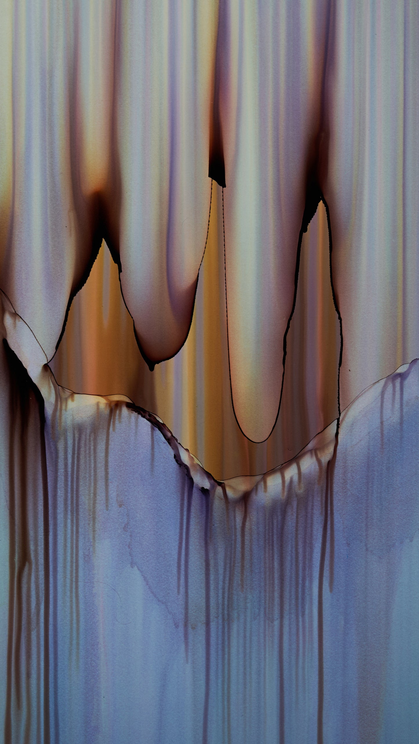 Beyond the veil - Fran Duncan