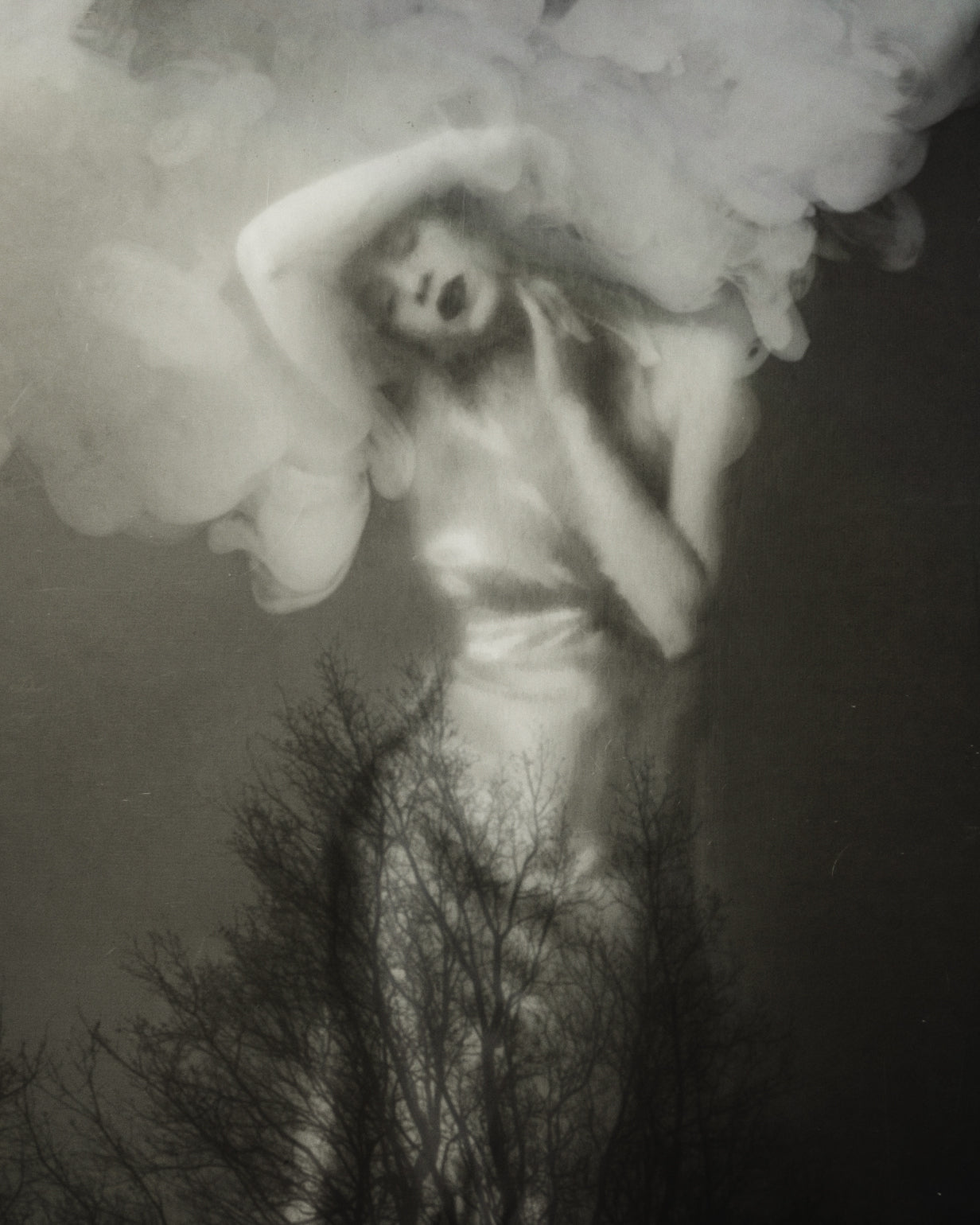 Consume Me - Josephine Cardin