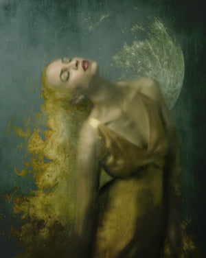 Everything Carries Me to You - Josephine Cardin