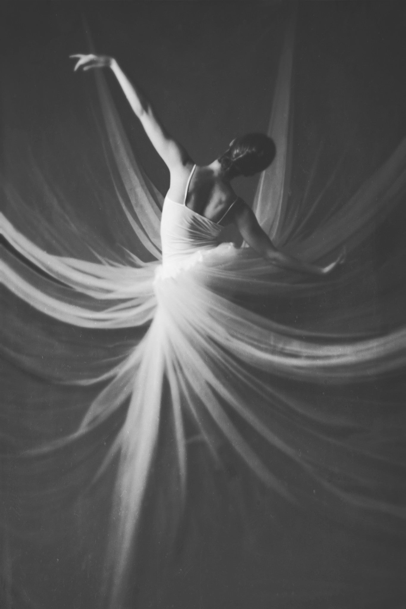 Be Set Free - Josephine Cardin