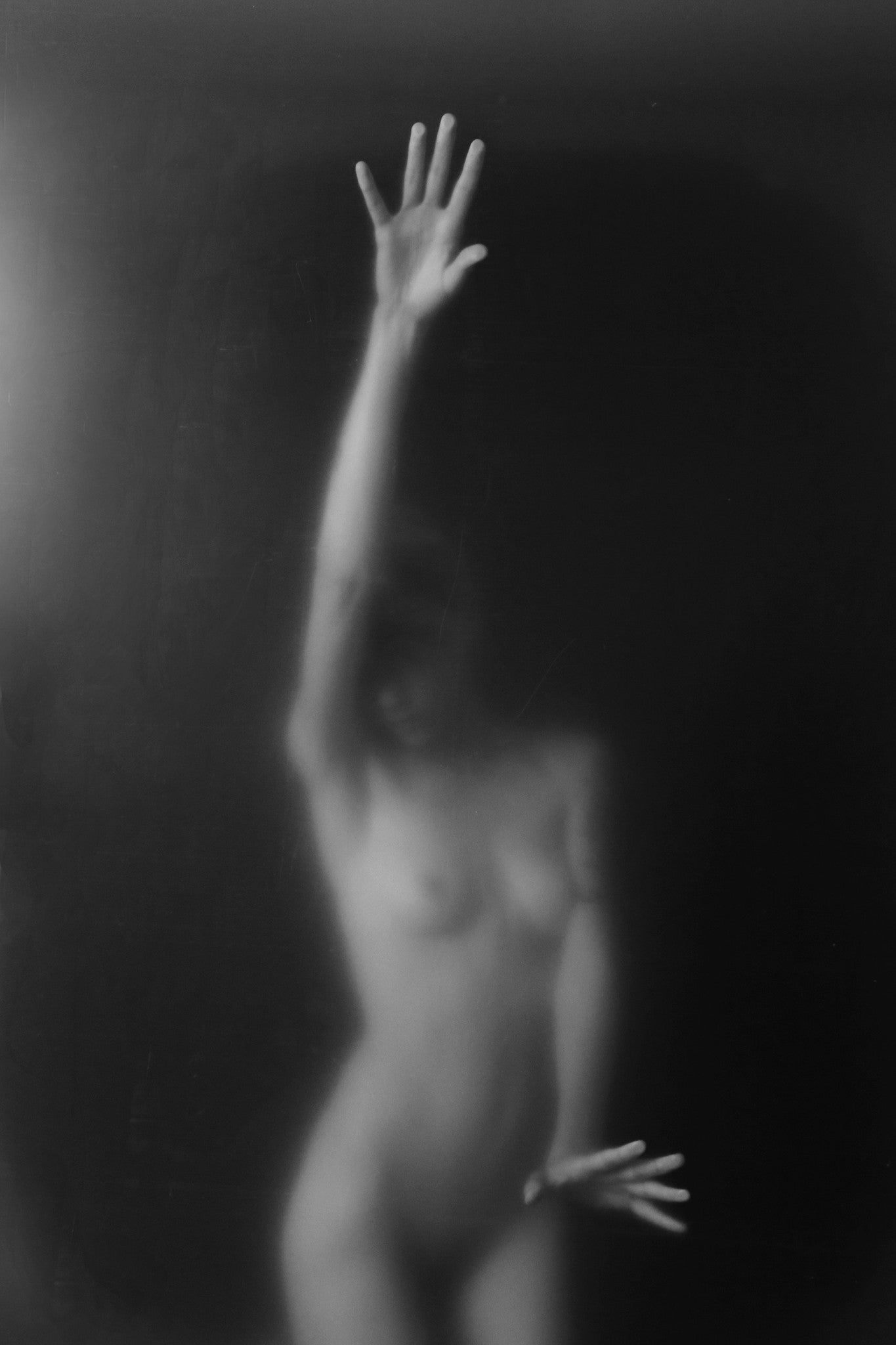 Shed my Skin - Josephine Cardin