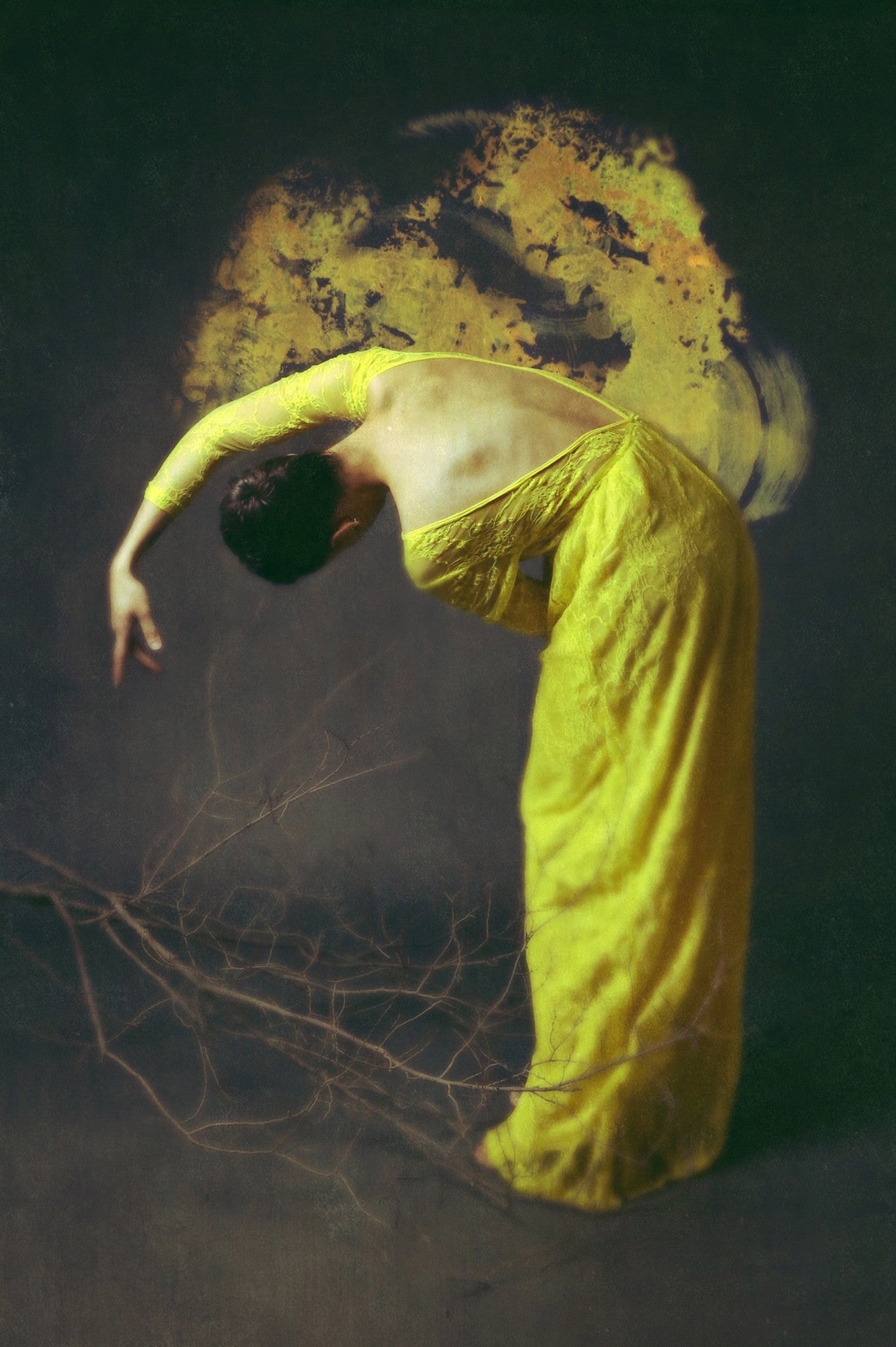 Of Desolate Amber - Josephine Cardin diasec