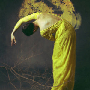 Of Desolate Amber - Josephine Cardin diasec