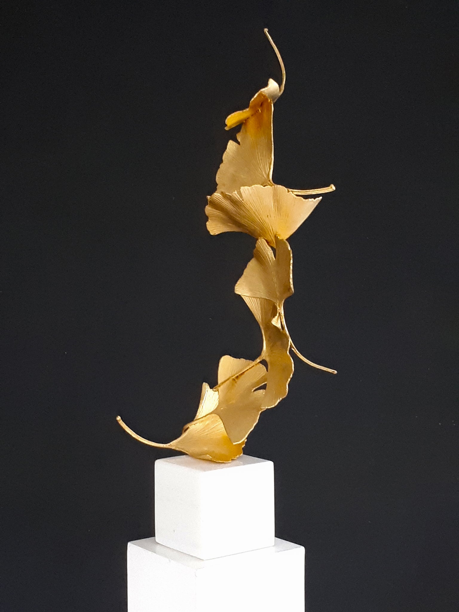 Golden Gingko 6 leaves - Kuno Vollet