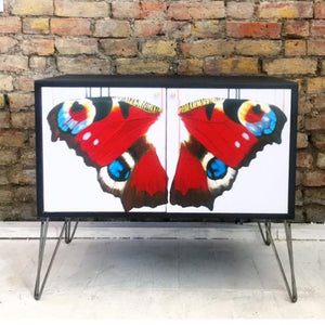 Butterfly Wing Cabinet - Louise McNaught
