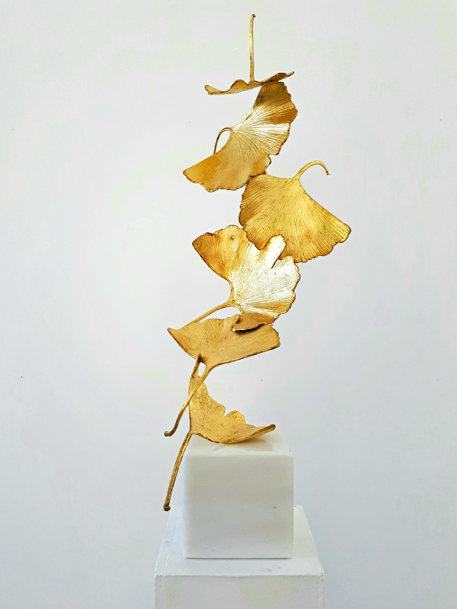 Golden Gingko 6 leaves - Kuno Vollet
