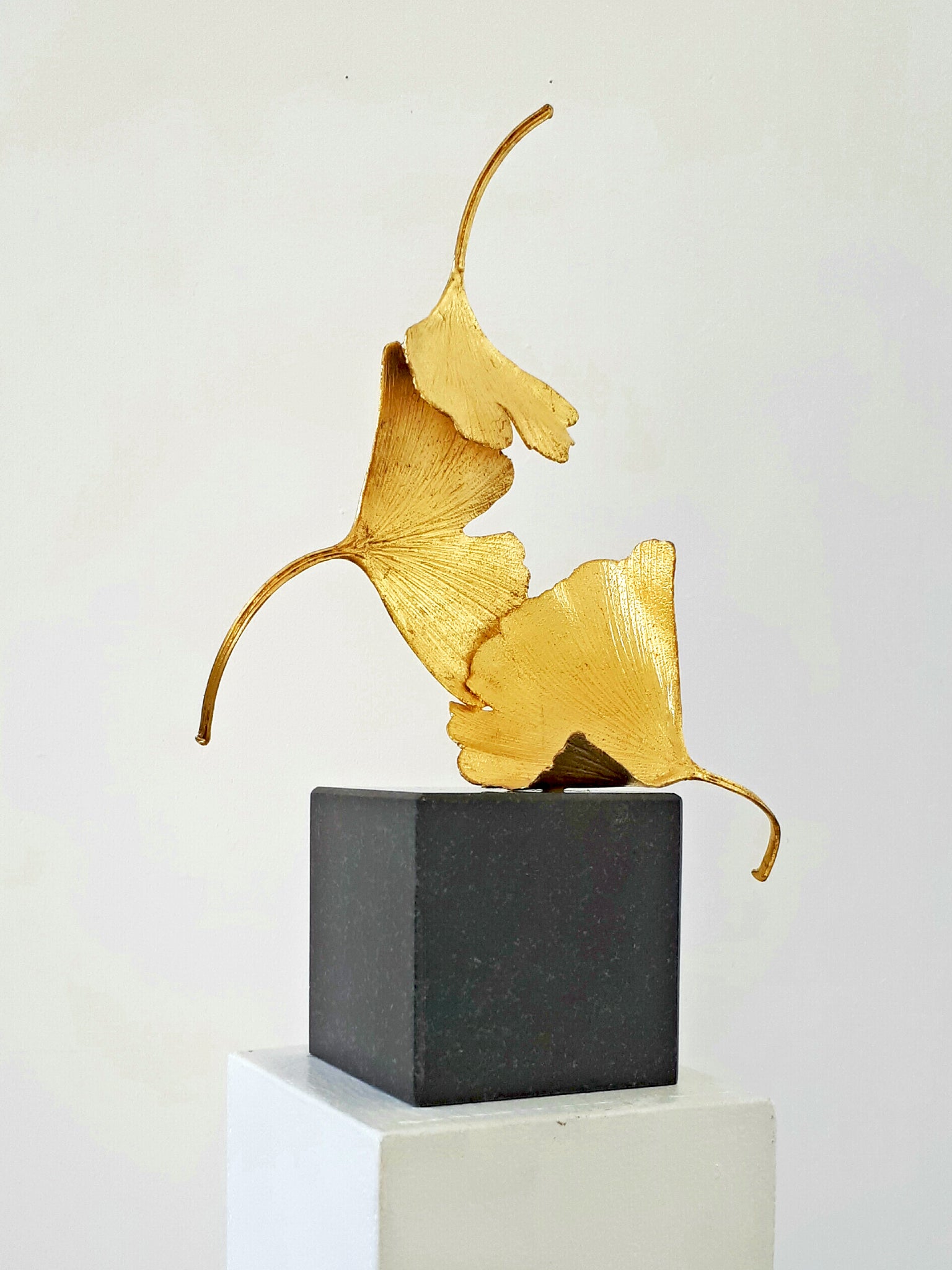 Golden Gingko - Kuno Vollet