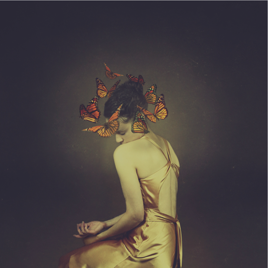From The Same Cocoon  - Josephine Cardin