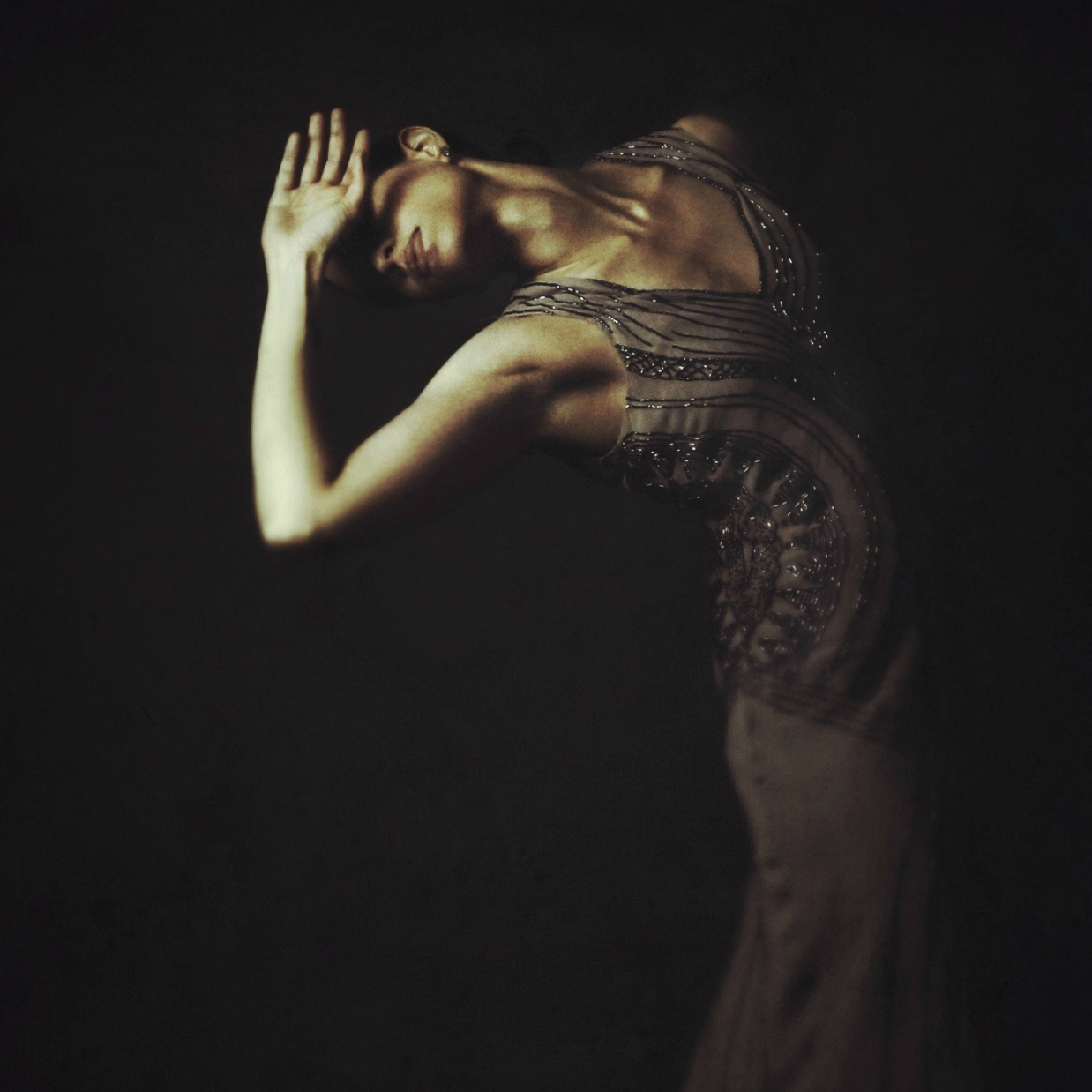 Fractured Moonlight - Josephine Cardin