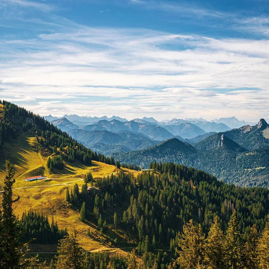 Stairway to Heaven - Moritz Hormel