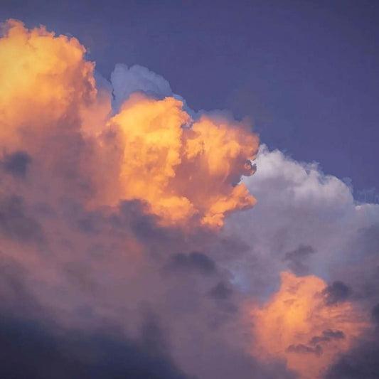 The Sky is the Limit - Moritz Hormel